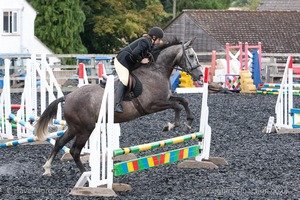 Class 3 -  Fences not above 2'3